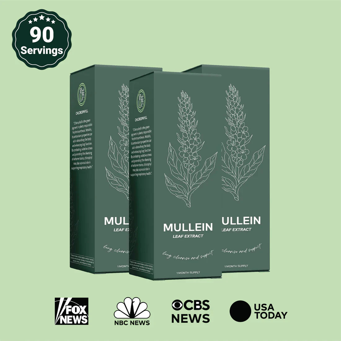 Mullein Leaf Extract Drops