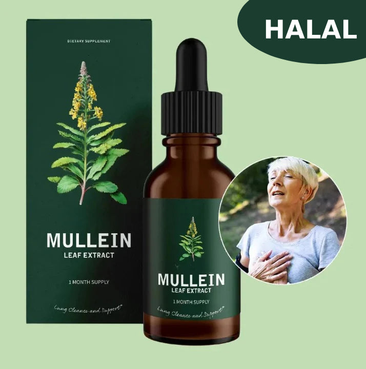 Mullein Leaf Extract Drops